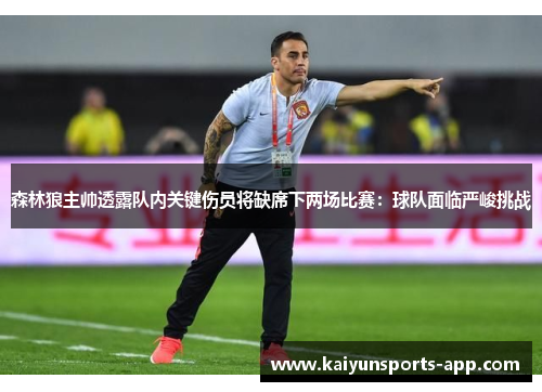 森林狼主帅透露队内关键伤员将缺席下两场比赛：球队面临严峻挑战